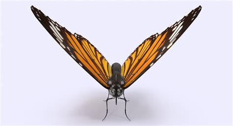 Monarch Butterfly 3d Model 1142930 Turbosquid
