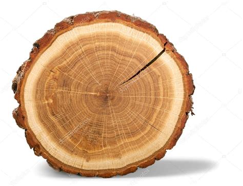 Wood Round Slice Stock Photo By ©billiondigital 114718610