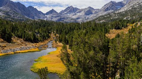 Góry Sierra Nevada I Lasy Nad Rzeką Rock Creek