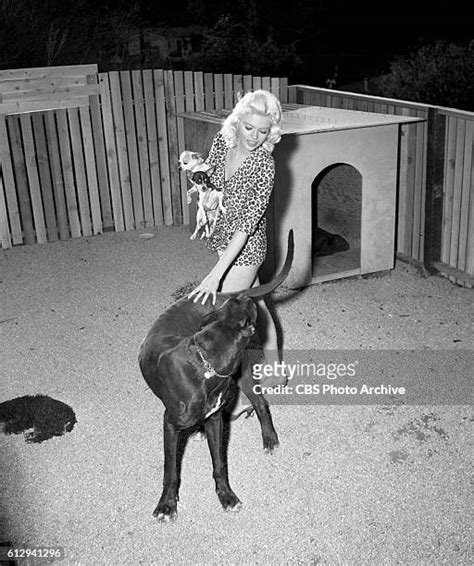 Jayne Mansfield 1956 Bildbanksfoton Och Bilder Getty Images