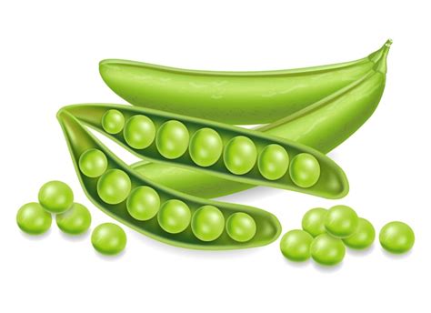 Premium Vector Green Peas Illustration
