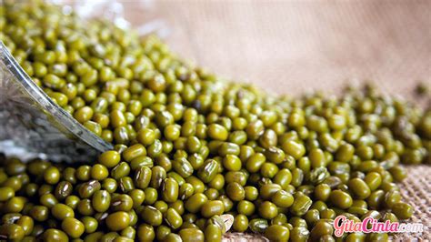 Bubur kacang hijau biji salak. Bagaimana Cara Mengupas dan Membuat Tepung Kacang Hijau ...