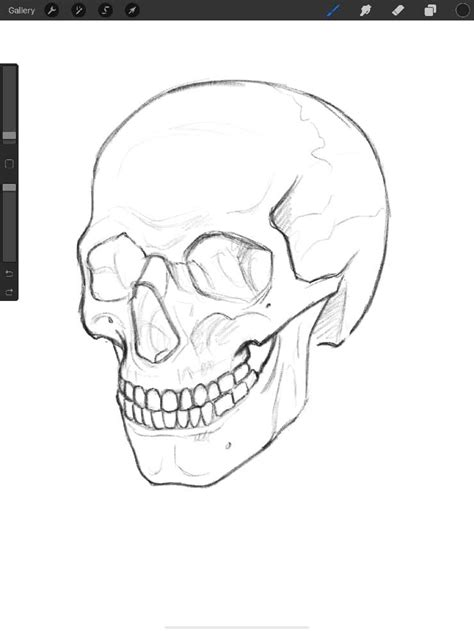 3 Easy Ways To Draw A Skull In Procreate In 2022 Skull Drawing