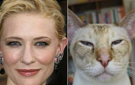 Cats That Look Like Celebrities Global News