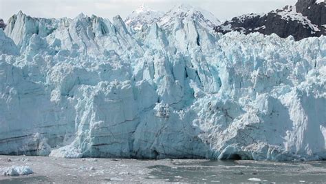 Margerie Glacier Alaska Calving Icebergs Into Ocean 21 Mile Long And
