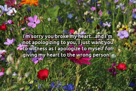 Quote Im Sorry You Broke My Heartand Im Coolnsmart
