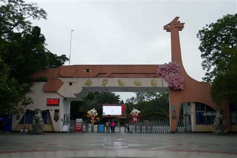 11 Astounding Facts About Nanning Zoo