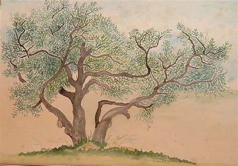 Old Oak Tree Painting By Fred Jinkins