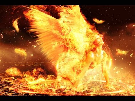 I Love This Image Of Watching The Phoenix Going Through The Process Of Rising From The Ashes