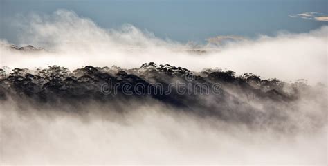 Blue Mountain Mist Stock Photo Image Of Mist Australia 42141598