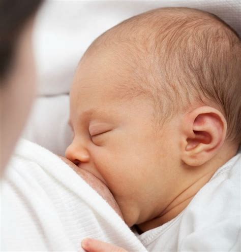 Lactancia Materna Aumentar la producción de leche materna Maternidad