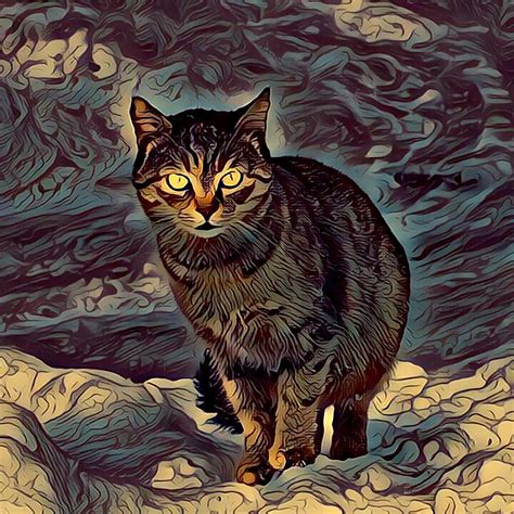 Indigo Mystical Cat Digital Painting Digital Art By Denis Agati Fine
