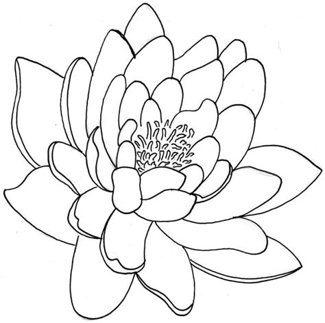 • the stem is a small rectangle under the petals. Free Flower Outlines, Download Free Clip Art, Free Clip ...