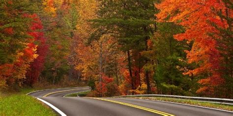 See how many of these 15 words your child can find! Fall Road Trips INFOGRAPHIC | HuffPost