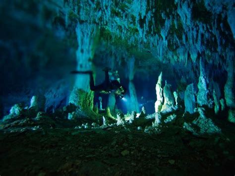 Cave Bahamas Dive Scuba Underwater Caves Water Adventure Cave Photos