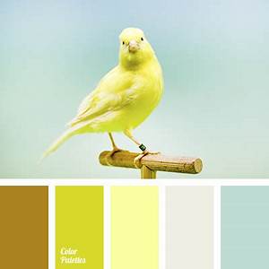 Canary Color Color Palette Ideas