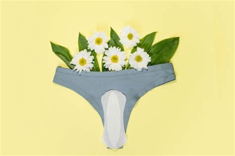 Premium Photo White Daily Feminine Pads And Cotton Panties Intimate