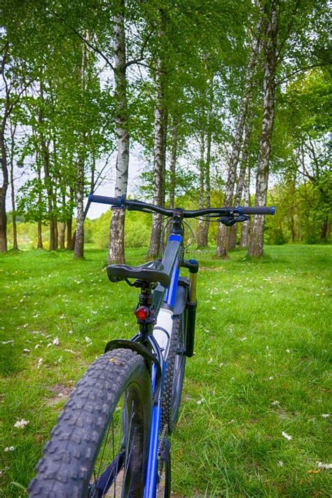 Amateur Rider On The Bicycle In The Spring Park Stock Image Image Of Cyclist Enduro 221636983