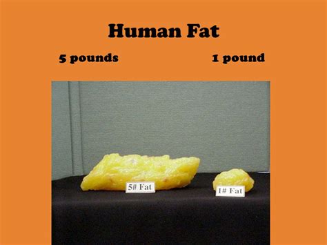 This Is How Much A Pound Of Human Fat Is Banana For Scale R