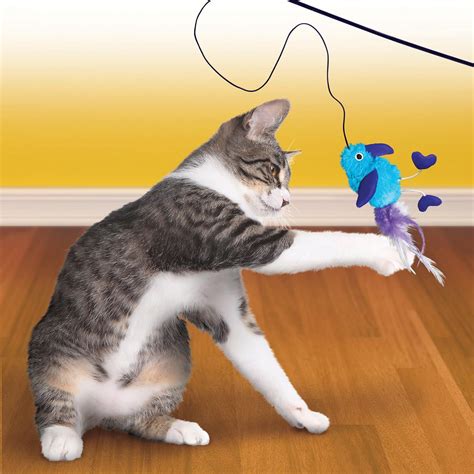 Best Cat Toys Top Cat Toys Of 2020 According To Real Cats