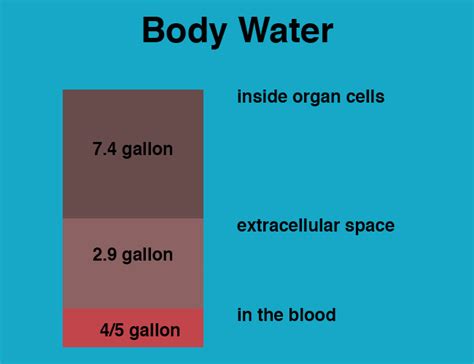 Water Intoxication How Much Water Can Kill You