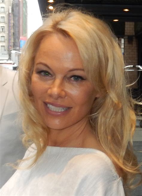 Pamela Anderson Sex Tape Wiki