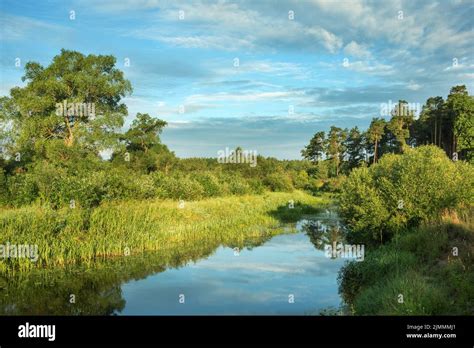 Summer Landscape Near The Berezina River In Belarus Stock Photo Alamy