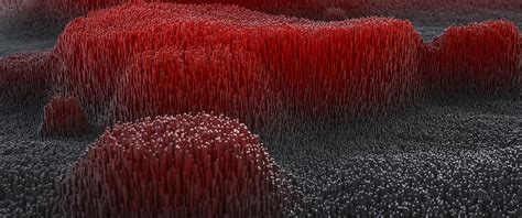 Abstract Ultrawide Ultra-wide - WallDevil