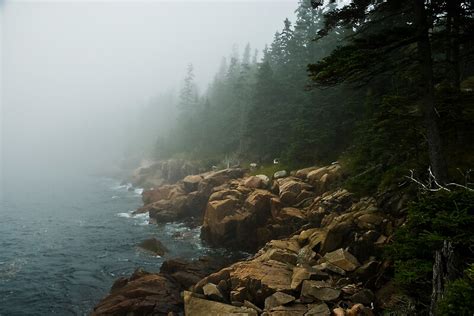 Fog On A Rocky Shore Acadia National Park Maine By Markemmerson