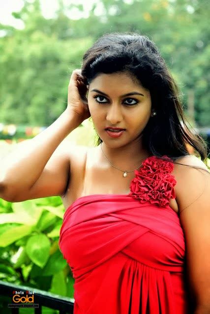 Star Hd Photos South Indian Akshitha Sexy Photo Model