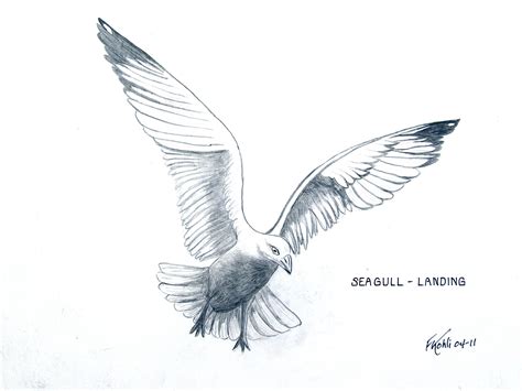 Top seagle abbreviation meaning updated february 2021. Pin on BIRDS AND ANIMALS - Paintings and Drawings