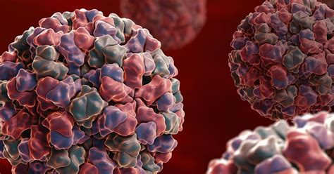 Eine ansteckung mit dem norovirus ist immer dann möglich, wenn hygienische standards nicht eingehalten werden, zum beispiel in restaurants oder auf öffentlichen toiletten. Norovirus wie lange ansteckungsgefahr | Noro. 2020-04-14