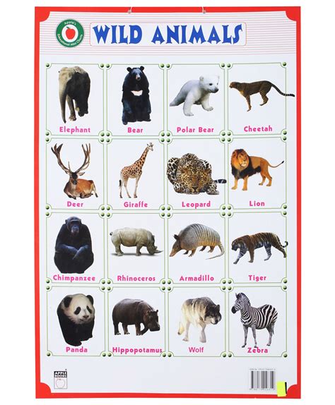 Sikkim Animals Chart With Name Wild Animals List Of 30 Popular