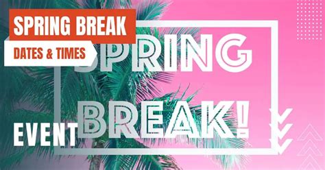 Live It Up: An Insider's Guide to the Ultimate USF Spring Break 2024
