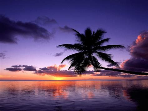 🔥 90 Purple Sunset Wallpapers Wallpapersafari