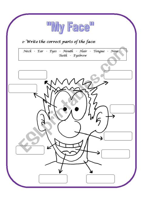 Parts Of The Face Esl Worksheet By Agnetha
