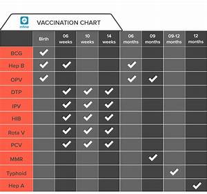 Newborn Baby Vaccination Chart Pdf