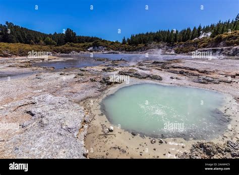 Hells Gate Geothermal Park Rotorua Hi Res Stock Photography And Images