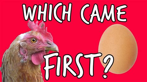 Aqa Which Came First The Chicken Or The Egg At Bristol Science