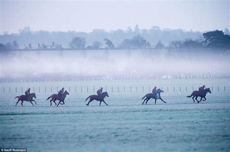 Riders Took Their Horses Out For A Morning Gallop Across A Frost And
