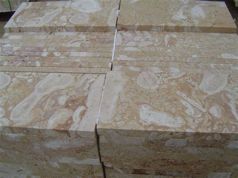 Natural Coral Stone Pavers Stone Pavers Coral Stone Natural Coral