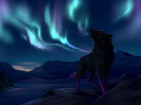 Wolf Wolves Predator Carnivore Artwork Sky D Wallpaper 2560x1920