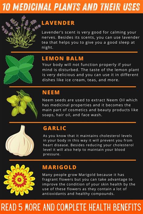 30 Herb Plants And Their Uses References Herb Garden Planter