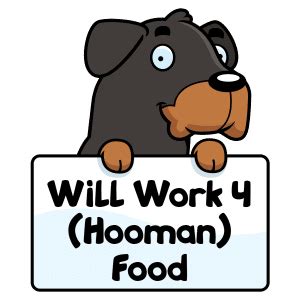 Here, learn which human foods dogs can eat and which not to feed them. What Human Food Can Rottweilers Eat Safely? | Dog Breeds List