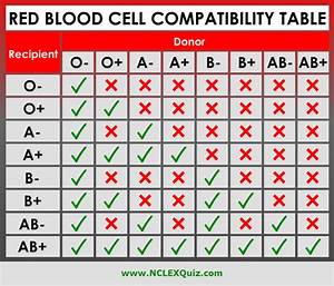 Red Blood Cell Compatibility Chart Blood Type Chart