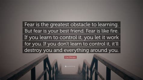 Top 21 cus d'amato quotes. Cus D'Amato Quote: "Fear is the greatest obstacle to learning. But fear is your best friend ...