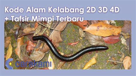 kode alam cacing tanah