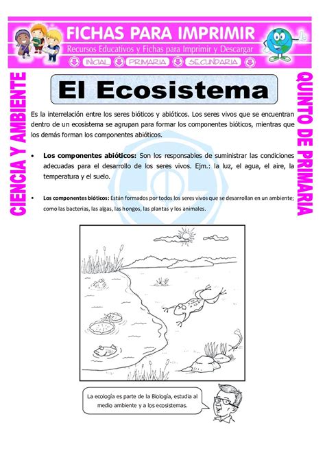 Ficha Online De Los Ecosistemas Para 5º Educación Primaria Puedes Hot
