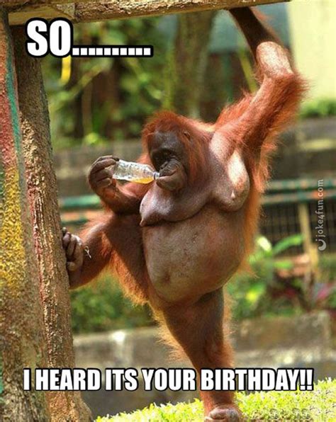 Top 100 Funniest Happy Birthday Memes Most Popular Tyello