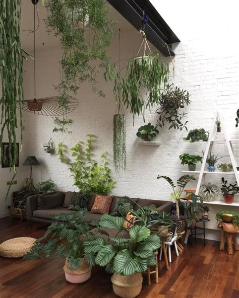 Pin By Mmecamille On Dreamy Home In 2019 Interior Design Plants